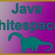 Java Whitespaces Whitespace Characters In Your Program Java Tutorial Appficial