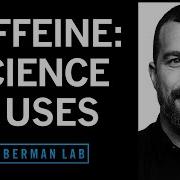 Using Caffeine To Optimize Mental Physical Performance
