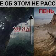 До захвата на Земле росли деревья 20 км высотой