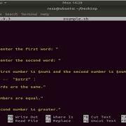 4 If Statement Comparing Two Bash Scripting