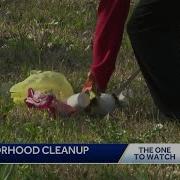 Neighborhood Cleanup