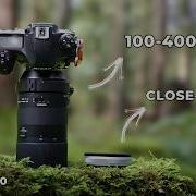 Macro Photography Without A Macro Lens