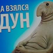 Тайна Немо Наутилус Часть 5 КУХОННЫЙ ЖДУН
