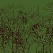 Creating A Fractal Tree Forest Using Processing