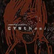 Cynthoni Grinding Of The Teeth