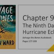 Salvage The Bones Audiobook Chapter 9