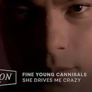 Fine Young Cannibals She Drives Me Crazy Official Video