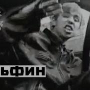 Дельфин Дилер