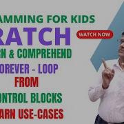 Forever Block Loop In Scratch