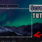 Учебное пособие по ScreenPal для начинающих запись и редактирование экрана и веб камеры
