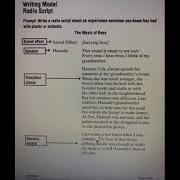 Narrative Writing Radio Script