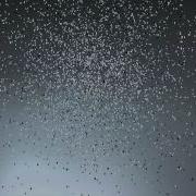 Cinema4D Exploding Cube Test