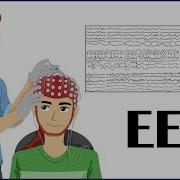 EEG Electroencephalogram How It Is Done Indications Types Of EEG Patient Education