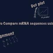 How To Compare Nucleotide GDNA MRNA Sequences Using Blast