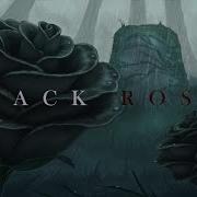 Aviators Black Roses Rock Ballad
