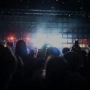 Дельфин QT Live 28 02 2015