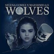 Selena Gomez Marshmello Wolves Audio Official