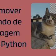 Remover Fundo De Imagem Com Python Rembg E PIL
