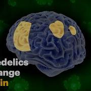How Psychedelics Change The Brain