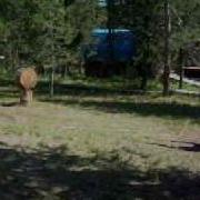 Amazing 4 Tomahawk Throw