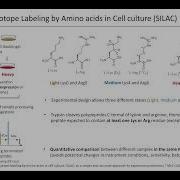 TALK 20 Quantitative Proteomics And Omics Data Analysis Holger Kramer