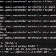 How To Setup A Development Server Or Staging Server On Rackspace