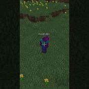 ERROR 404 DE MINECRAFT Minecraft Gaming Short