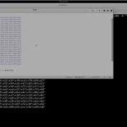 9 Generating Shellcode And Getting Root