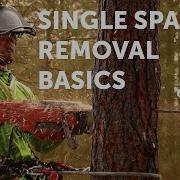Spar Removal Basics SRT Tree Climbing Tutorial Arborist How To