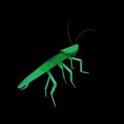 Cockroach Dancing To Fireflies EARRAPE