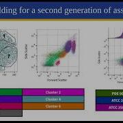 Flow Cytometry As A Microbiology Tool In The Development Of Next Generation Diagnostics