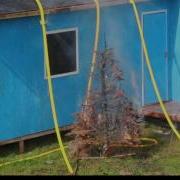 Fire Octopus Wildfire Simulation Promotional Video