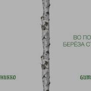 Илья Никко х GUMA Берёза новинки 2025