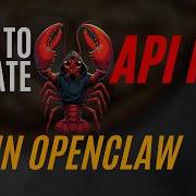 Как легко обновить свой API ключ в OpenClaw для любого провайдера