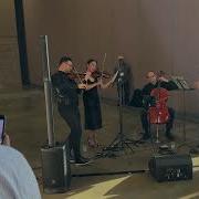 The Elegance Of Strings Meets The Drama Of 007 String Quartet Plays Adele Skyfall