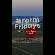 Farm Friday V Trellis System