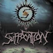 Suffocation Bind Torture Kill