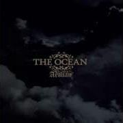 Necrobabes Com The Ocean