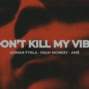 Adrian Fyrla Palm Monkey Amè DON T KILL MY VIBE Official Lyric Video