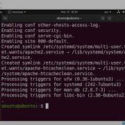 How To Enable Apache Web Server SSL TLS On Ubuntu Linux