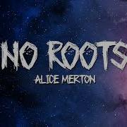 Alice Merton No Roots Lyrics