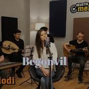 Bilgenur Şüküroğlu Begonvil