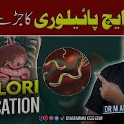 H Pylori Ka Sahi Ilaj H Pylori Eradication