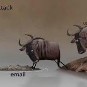 Phishing Attack