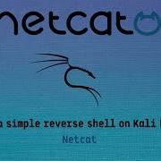 Creating A Basic Reverse Shell On Kali Linux Using Netcat