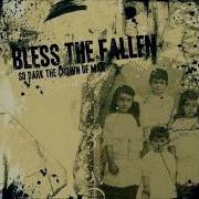 Bless The Fallen In Search Of Words