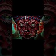 TOOL Vicarious 8D Audio