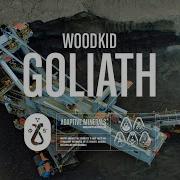 Woodkid Goliath Official Video