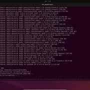 Tor Browser как установить на Linux