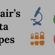 Altair S Data Types